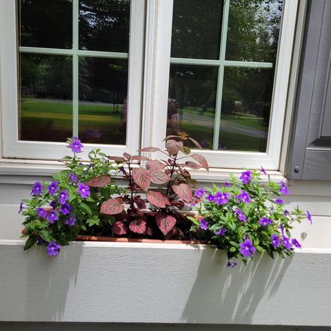 N7929 Doty Drive, Ripon, WI 54971