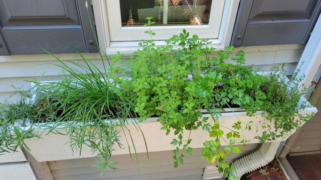 N7929 Doty Drive, Ripon, WI 54971