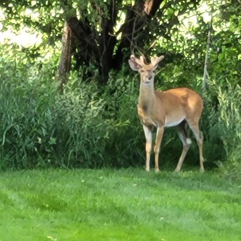 N7929 Doty Drive, Ripon, WI 54971