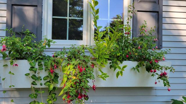 N7929 Doty Drive, Ripon, WI 54971