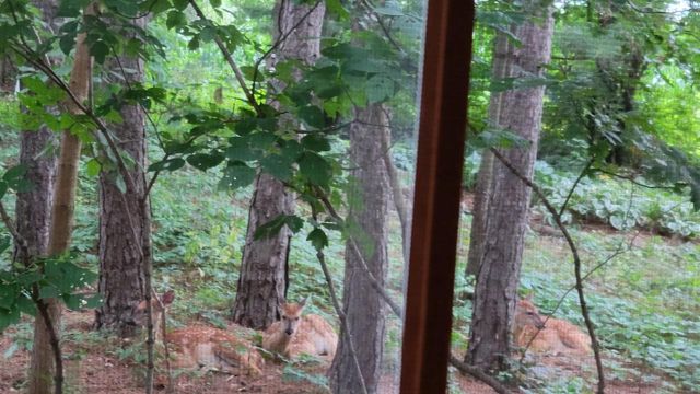 N7929 Doty Drive, Ripon, WI 54971