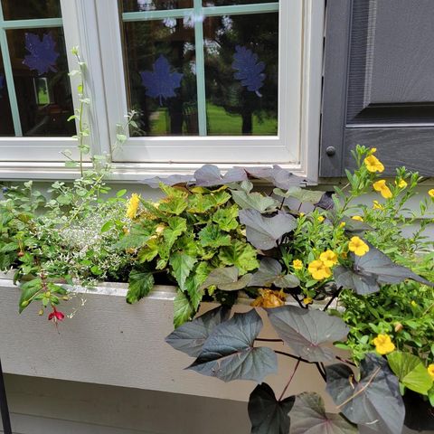 N7929 Doty Drive, Ripon, WI 54971