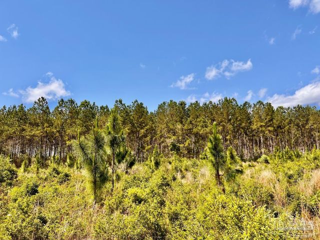 Lot 70 Naturewalk Dr, North Pace, FL 32571