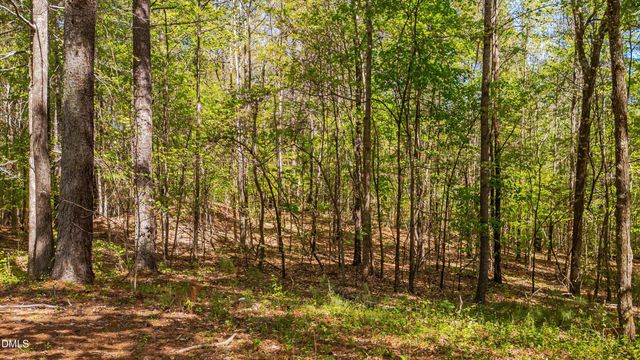 771 Smith Level Road, Chapel Hill, NC 27516