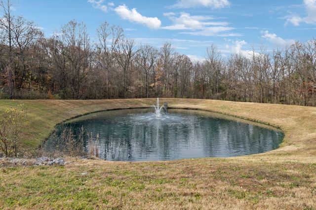 243 Rock Cress Rd, Nolensville, TN 37135