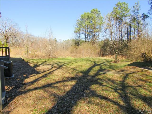 16541 Highway 171, Northport, AL 35475