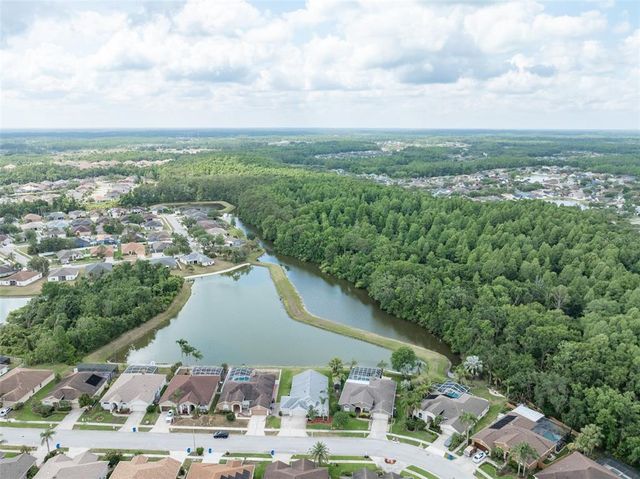 29542 FOREST GLEN DRIVE, Wesley Chapel, FL 33543