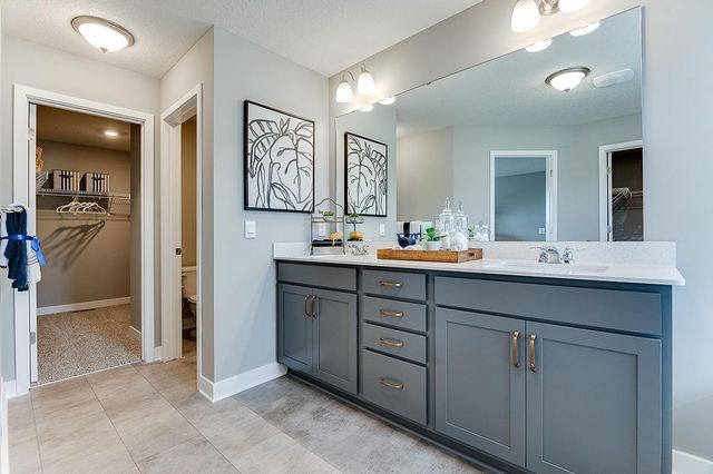 1639 Oak Creek Pass, Chaska, MN 55318