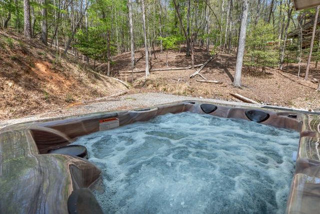 164 Echo Lane, Ellijay, GA 30540