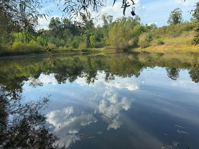 1108 Neergaard Lane, Dunlap, TN 37327