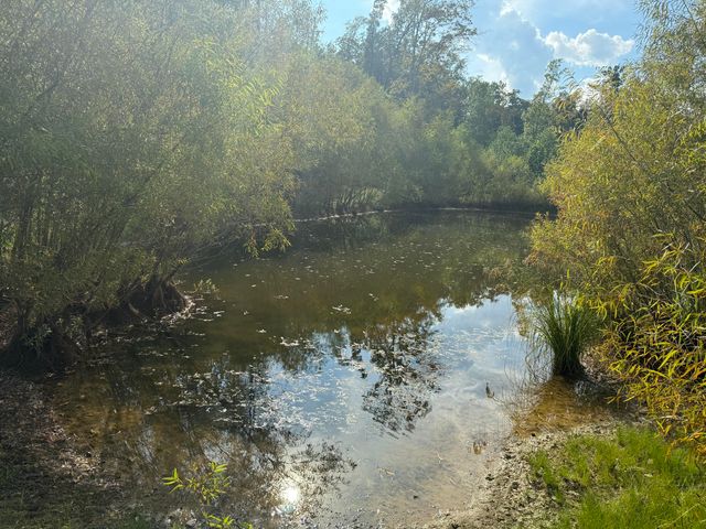 1108 Neergaard Lane, Dunlap, TN 37327