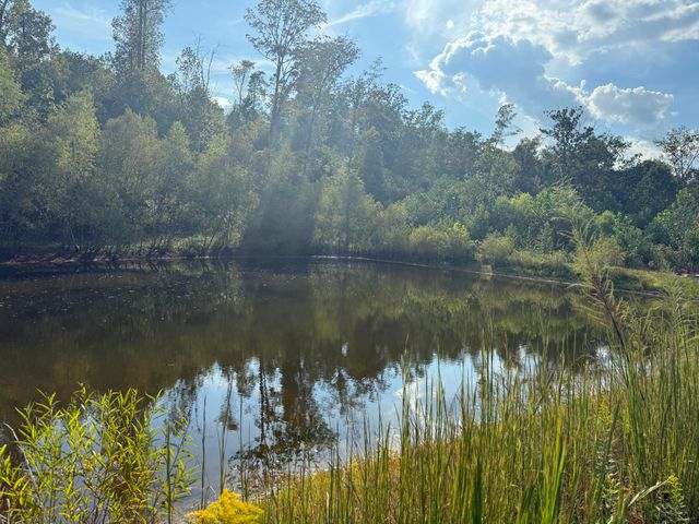 1108 Neergaard Lane, Dunlap, TN 37327