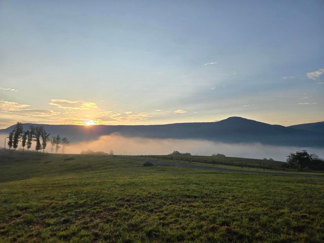 1108 Neergaard Lane, Dunlap, TN 37327