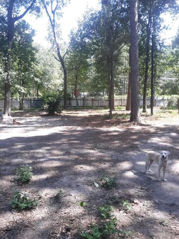 21060 Patricia Lane, New Caney, TX 77357