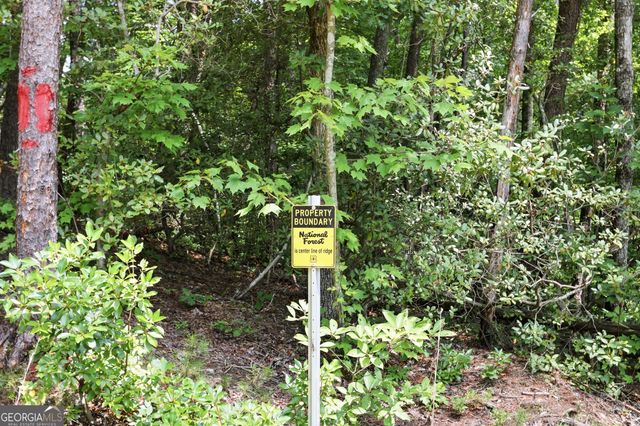 121 Waterfalls Way, Clarkesville, GA 30523