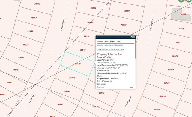 350 Lakecrest, Livingston, TX 77351