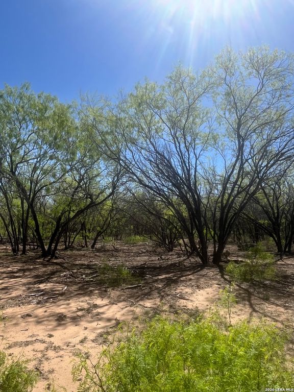 LOT 1 IH 37 S, Pleasanton, TX 78064