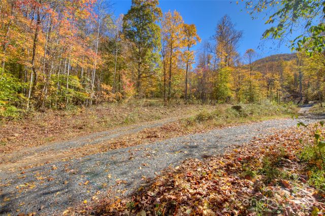 0 Pebble Ridge Road, Spruce Pine, NC 28777