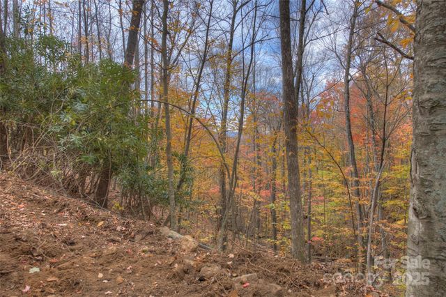 0 Pebble Ridge Road, Spruce Pine, NC 28777