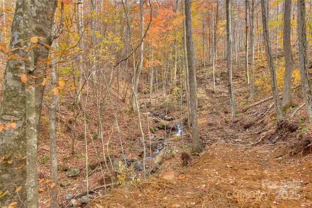 0 Pebble Ridge Road, Spruce Pine, NC 28777