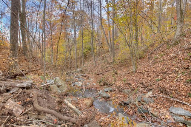 0 Pebble Ridge Road, Spruce Pine, NC 28777