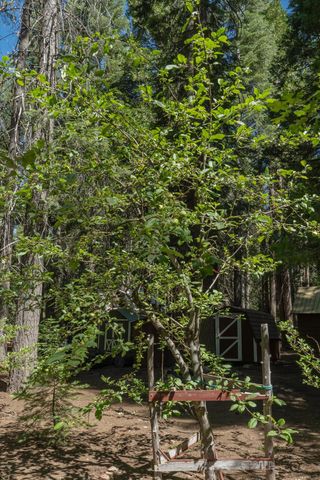 149 Creekside Dr, Camp Connell, CA 95223