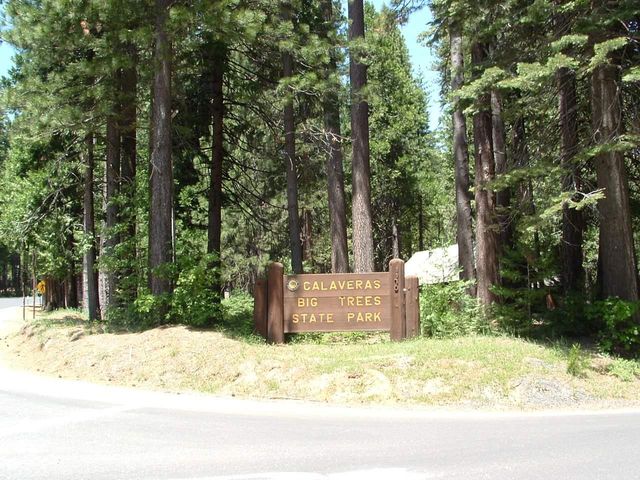 149 Creekside Dr, Camp Connell, CA 95223