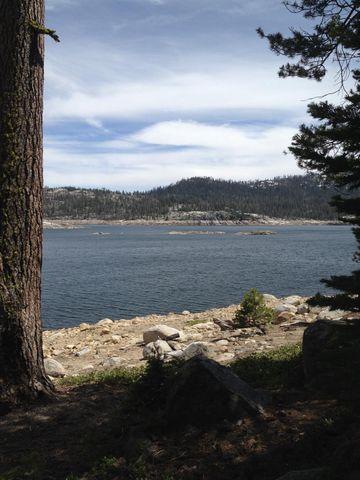 149 Creekside Dr, Camp Connell, CA 95223