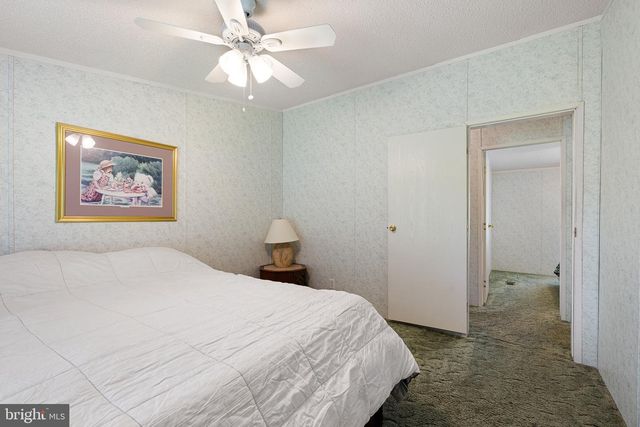 29044 LOG CABIN HILL RD, Lewes, DE 19958
