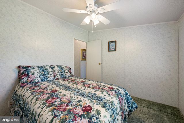 29044 LOG CABIN HILL RD, Lewes, DE 19958