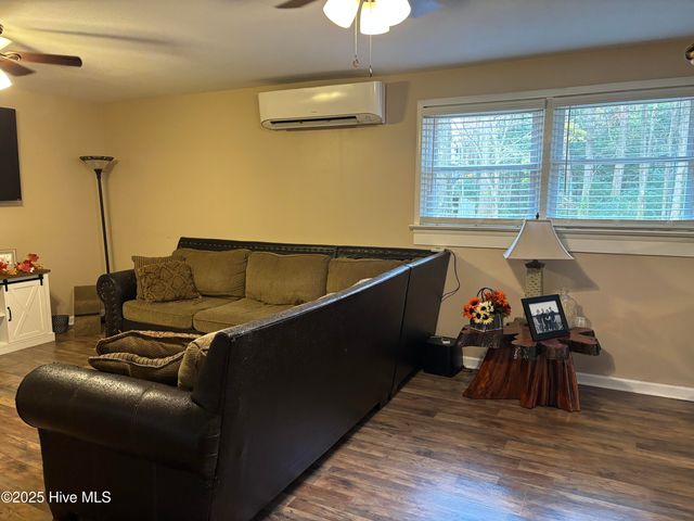 390 Phillips Hill Road, Conway, NC 27820