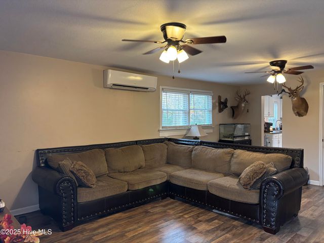 390 Phillips Hill Road, Conway, NC 27820