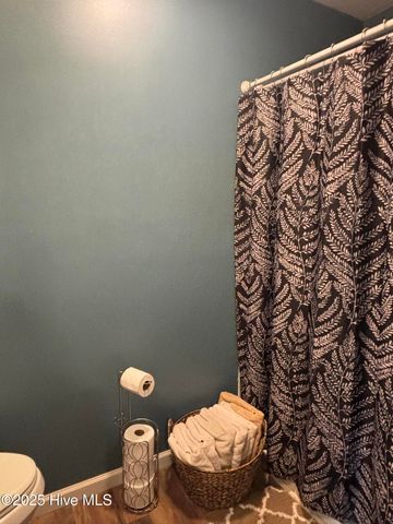 390 Phillips Hill Road, Conway, NC 27820