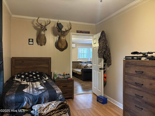 390 Phillips Hill Road, Conway, NC 27820