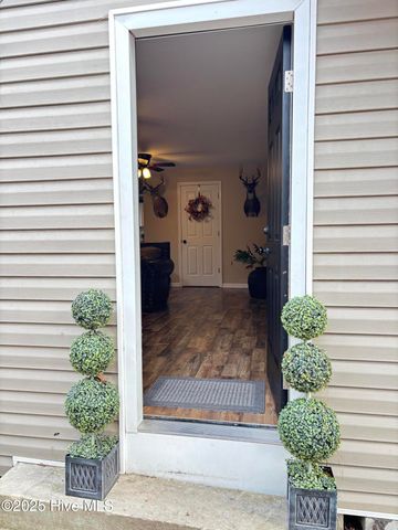 390 Phillips Hill Road, Conway, NC 27820