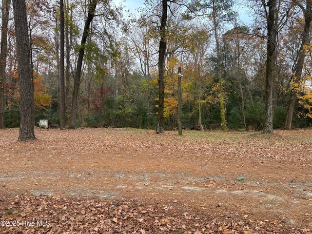 390 Phillips Hill Road, Conway, NC 27820