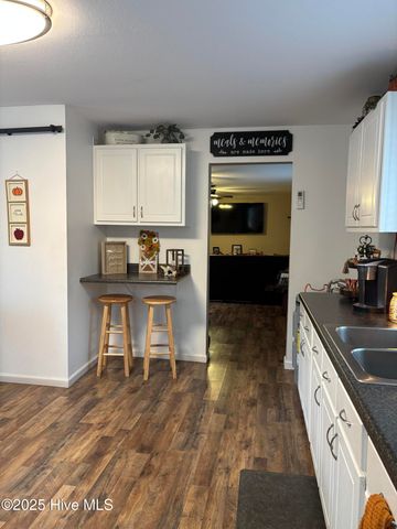 390 Phillips Hill Road, Conway, NC 27820