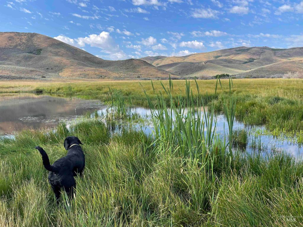 Monument Gulch 320, Fairfield, ID 83327 photo 12
