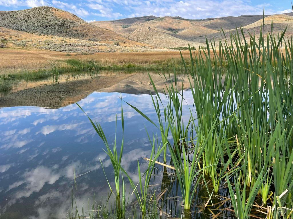 Monument Gulch 320, Fairfield, ID 83327 photo 13