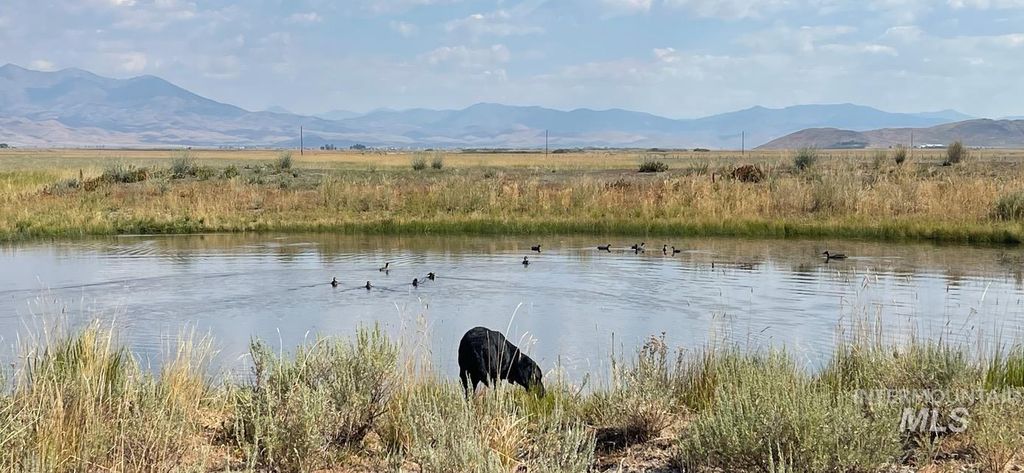 Monument Gulch 320, Fairfield, ID 83327 photo 14