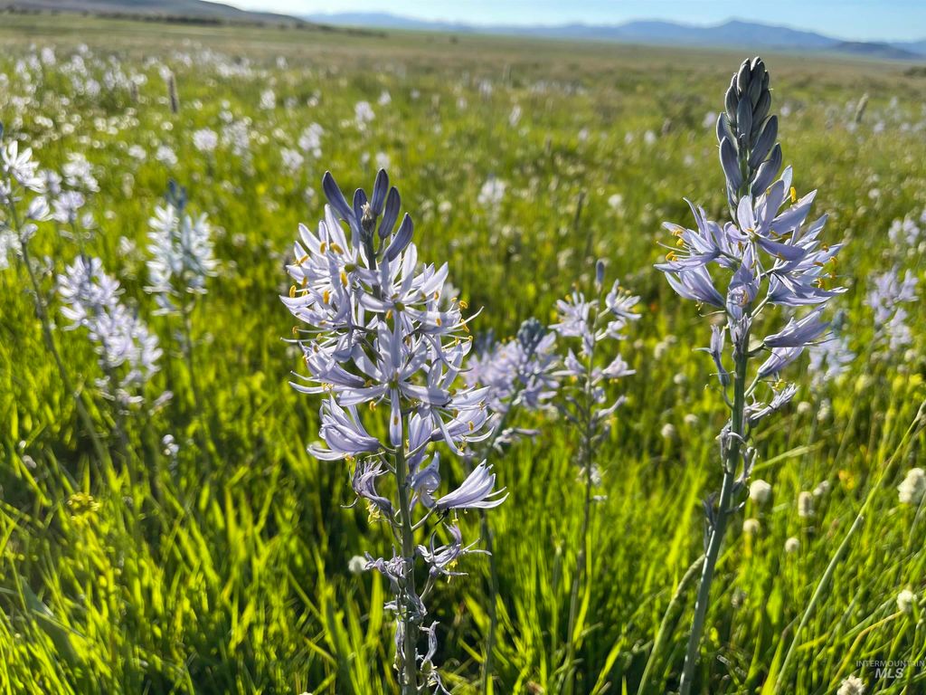 Monument Gulch 320, Fairfield, ID 83327 photo 9