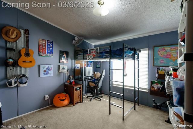 18555 Elwell Road, Sumpter Township, MI 48111