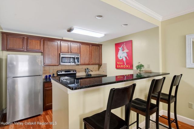 64 Klein Avenue 507, Hunter, NY 12442