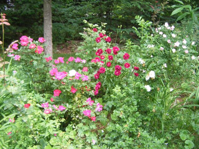 26 Jonathan Lane, Bow, NH 03304