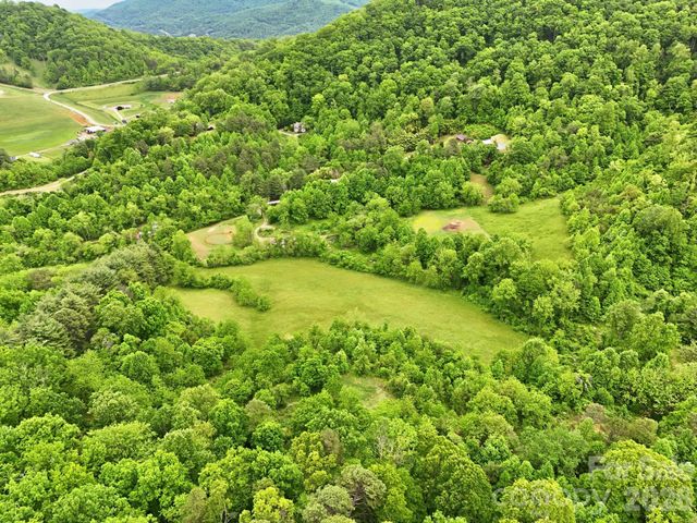 250 Potato Branch Road, Leicester, NC 28748