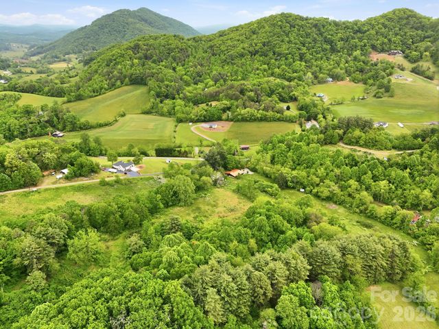 250 Potato Branch Road, Leicester, NC 28748