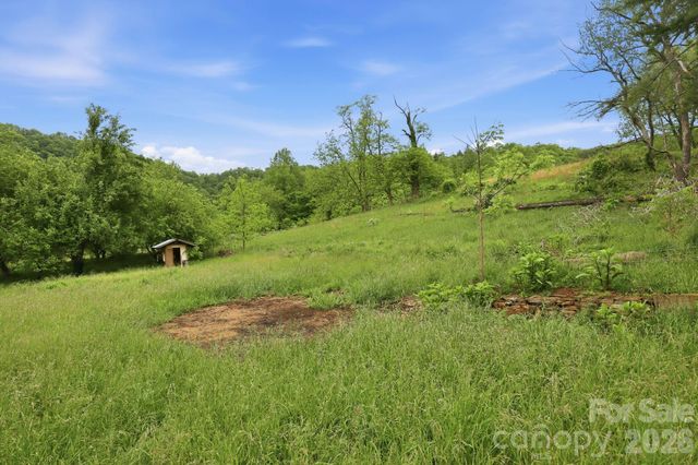 250 Potato Branch Road, Leicester, NC 28748