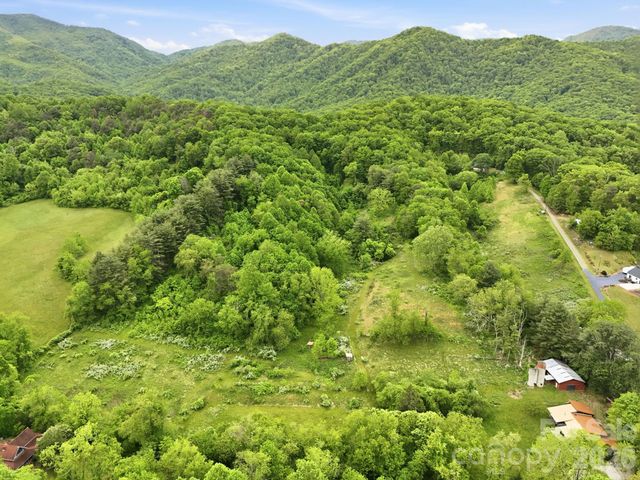250 Potato Branch Road, Leicester, NC 28748