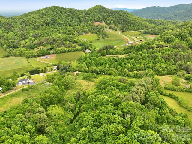 250 Potato Branch Road, Leicester, NC 28748