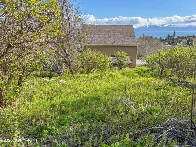 124 Mountain View Drive, Homer, AK 99603